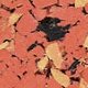 Sun Dried Tomato