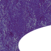 841 Indigo