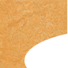 3847 Golden Saffron
