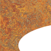 3403 Asian Tiger