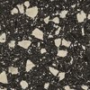 #605 Asteroids