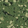 #712 Moss Appeal
