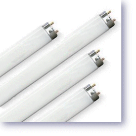 T8 Fluorescent Lamps