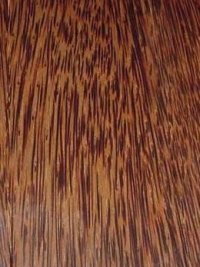 Coconut Palm Plywood