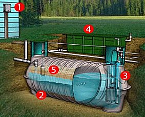Five Main Functions