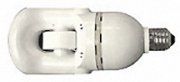 Induction Light Bulbs