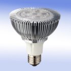 LED High Power 9W PAR30 Lamp
