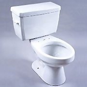 1.8 Gallon Flapperless Toilet