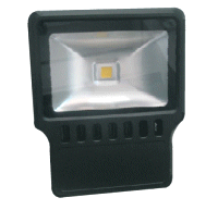 100W LED Flood Light