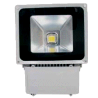 80W LED Flood Light