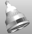 LED High Output PAR38 Lamp