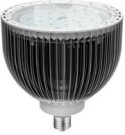 LED High Output Screw-based Lamp
