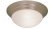 14in Ceiling Dome - Satin Nickel Frosted / Alabaster