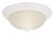 15in Ceiling Dome - White / Frosted Swirl