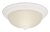 15in Ceiling Dome - White / Frosted Swirl
