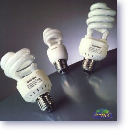 Electronic Ballast Spiral CF