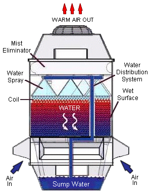 Cross-Section