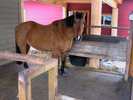 Eco-Rubber Mat for Horse Stalls