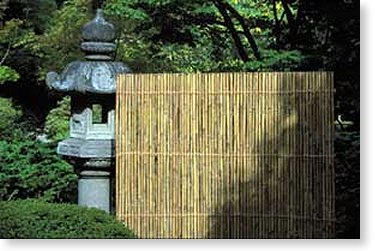 Bamboo Fencing