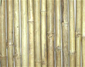 Tam Vong Bamboo