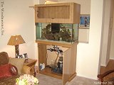 Inside Aquarium Cabinet