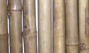Rolled Tam Vong Bamboo Fence