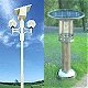 Solar Energy Lights the Way