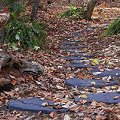 Recycled Rubber Walk and Stepping Stones