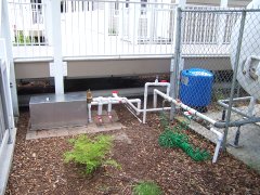 Rainwater Utility System