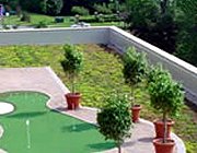 Extensive Green Roof