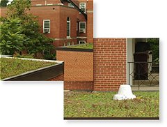 Green Vegetated Roof