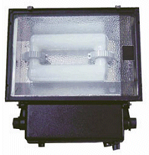 100 - 150 Watt Canopy Light