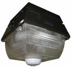 100 - 150 Watt Canopy Light