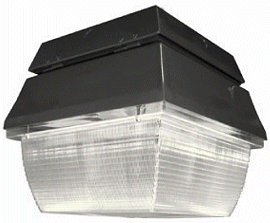 100 - 150 Watt Canopy Light