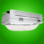 100W - 150W Canopy Light