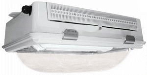 100 - 150 Watt Canopy Light