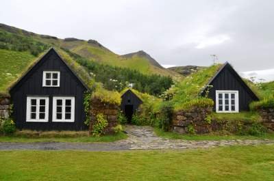 green roof
