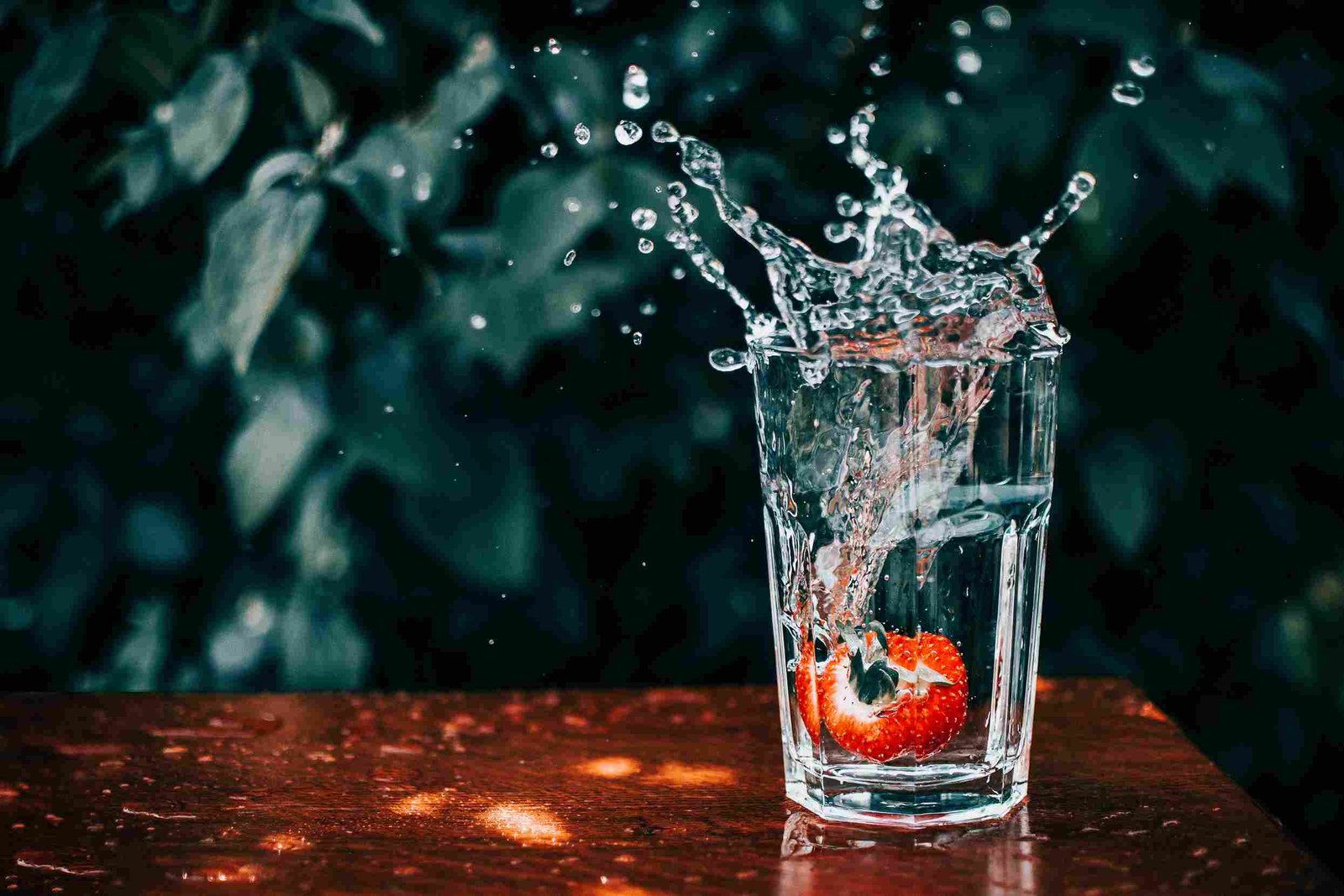 carbon water purification systems