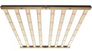 LED grow lights