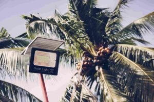 Integrated Pole Solar Street Light