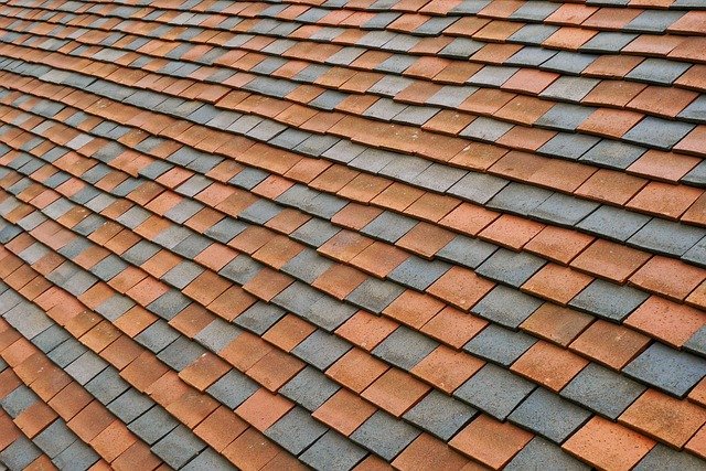 eco-shake shingles